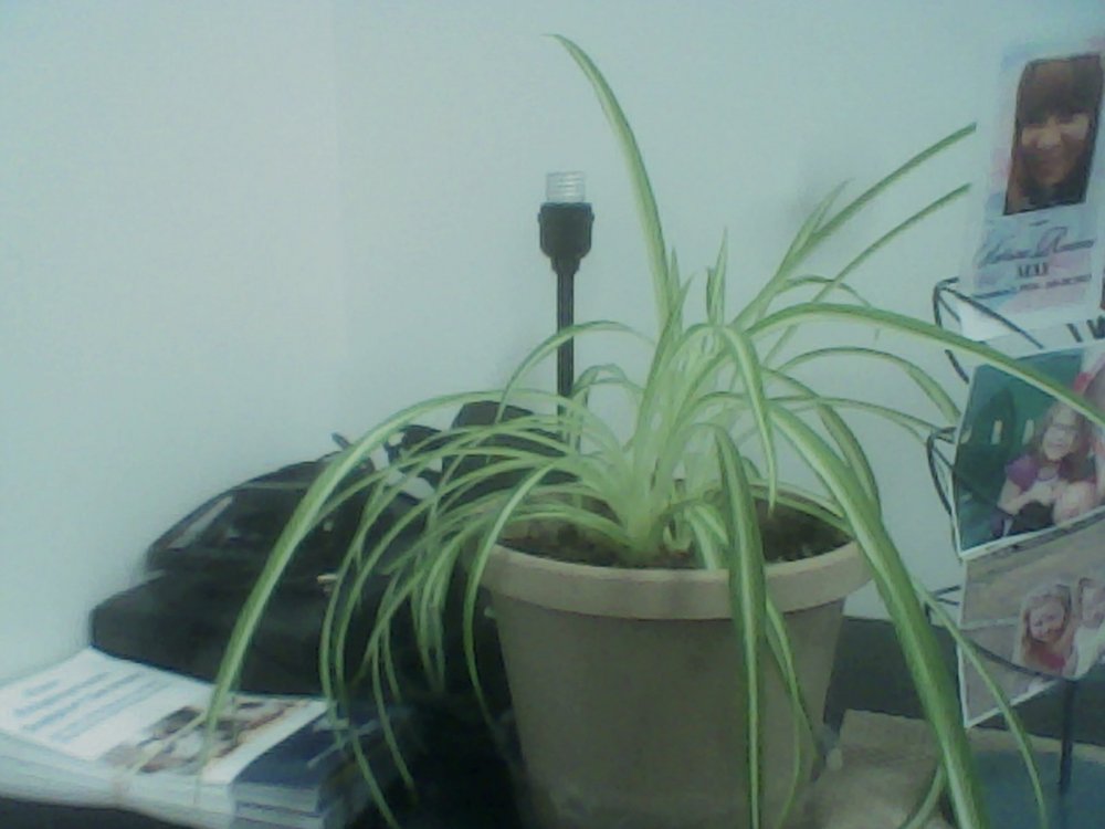 IMG_20210824_092645.thumb.jpg.9f1e06ad9ea0fea0712e0833a3053cdd.jpg