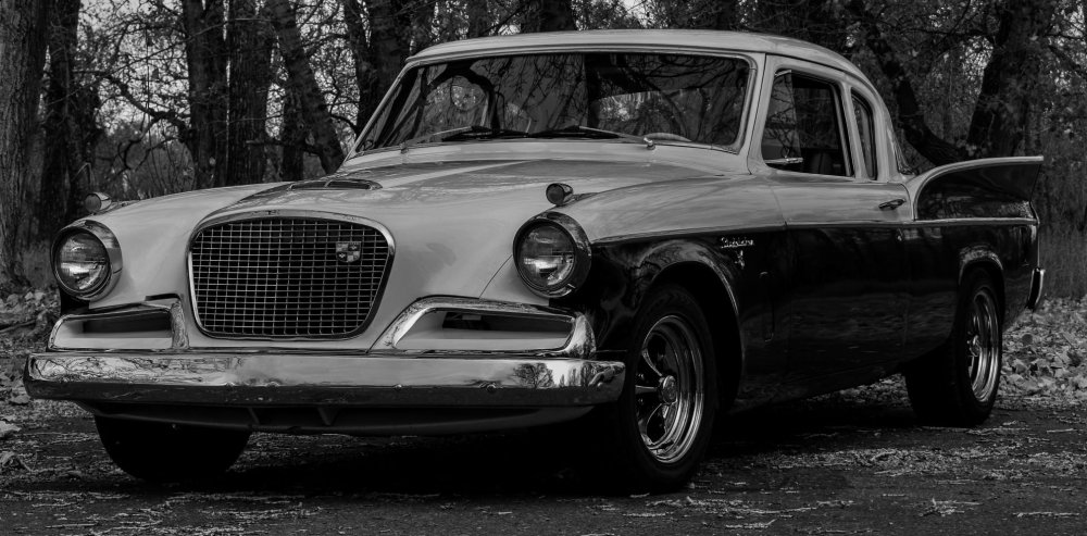 362495855_DSC_0763(2).jpgMeatBW.thumb.jpg.8a63dade3eec14a01c59e6931c963a04.jpg