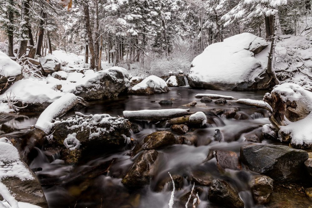 creeksnow3.thumb.jpg.4acd61b6f6db2082924646ac255eac69.jpg