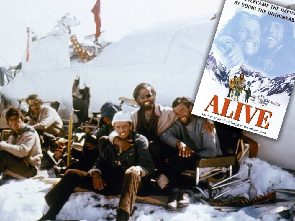 Alive_real_photo.thumb.jpg.0157ac91c8389146f5ae9c845e5a02eb.jpg