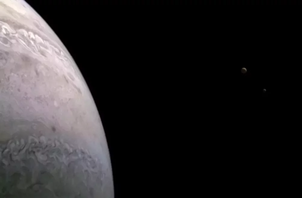 Juno1.jpeg