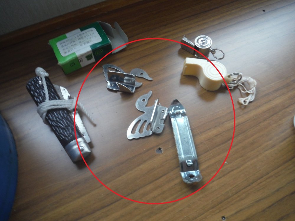 DSCF6347.thumb.jpg.829824259e4718b37fdaab9bb4b0e003.jpg