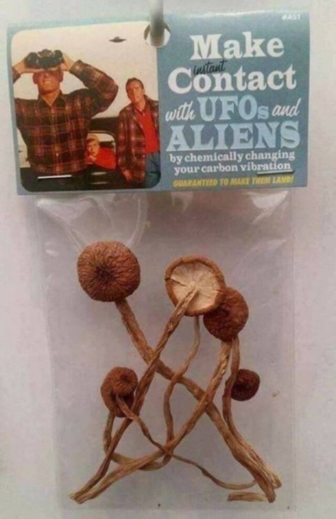 ufo.jpg