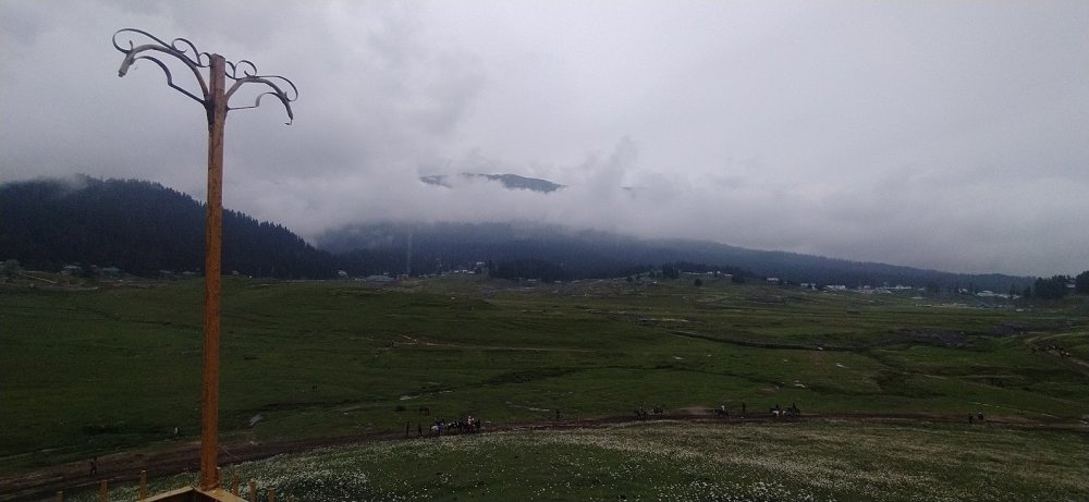 IMG_20220705_121751.jpg