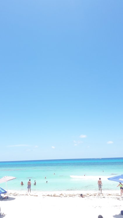 image.thumb.jpeg.ec028dd43e8426fd79024a05ea907665.jpeg