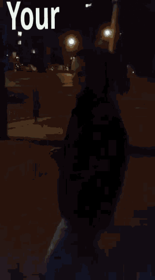 lubelskie-lublin.gif.dd154f1c875eba63e65da7f16a3656a7.gif