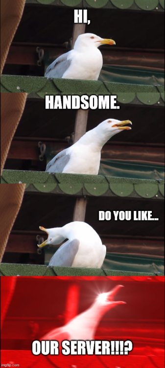 index.jpg