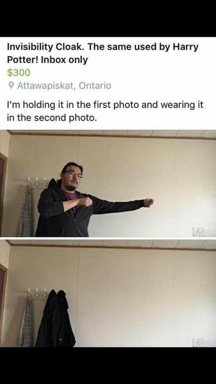 0zqvmffm5d031.thumb.png.b16ba7004b65d2b0b9aa7ef3702f6a56.png