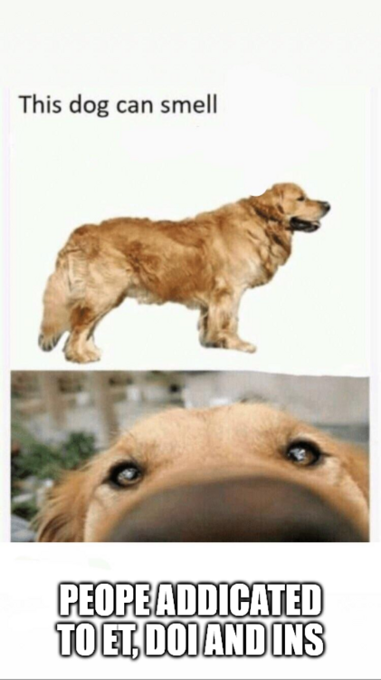 index.png