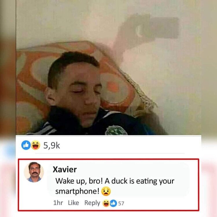 FB_IMG_1688737938494.thumb.jpg.03a0db42ee8ba1e3d030310cdc82afac.jpg