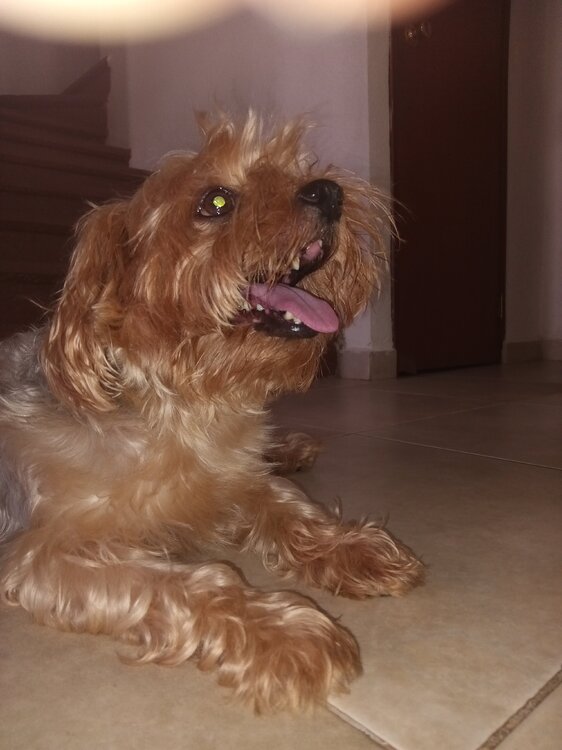 image.thumb.jpeg.9d53690b5eee17c29d6f23577e8e077e.jpeg