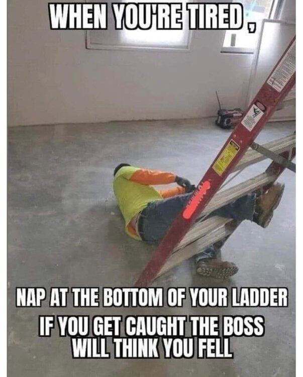 FB_IMG_1693981315476.thumb.jpg.35a08c212e448a8fb92a8aa77dd218b4.jpg