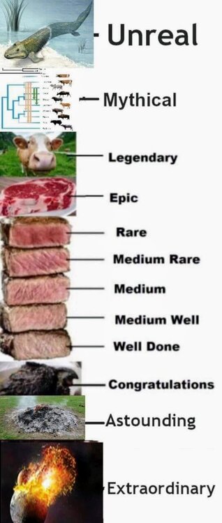 FB_IMG_1694875060820~2.jpg