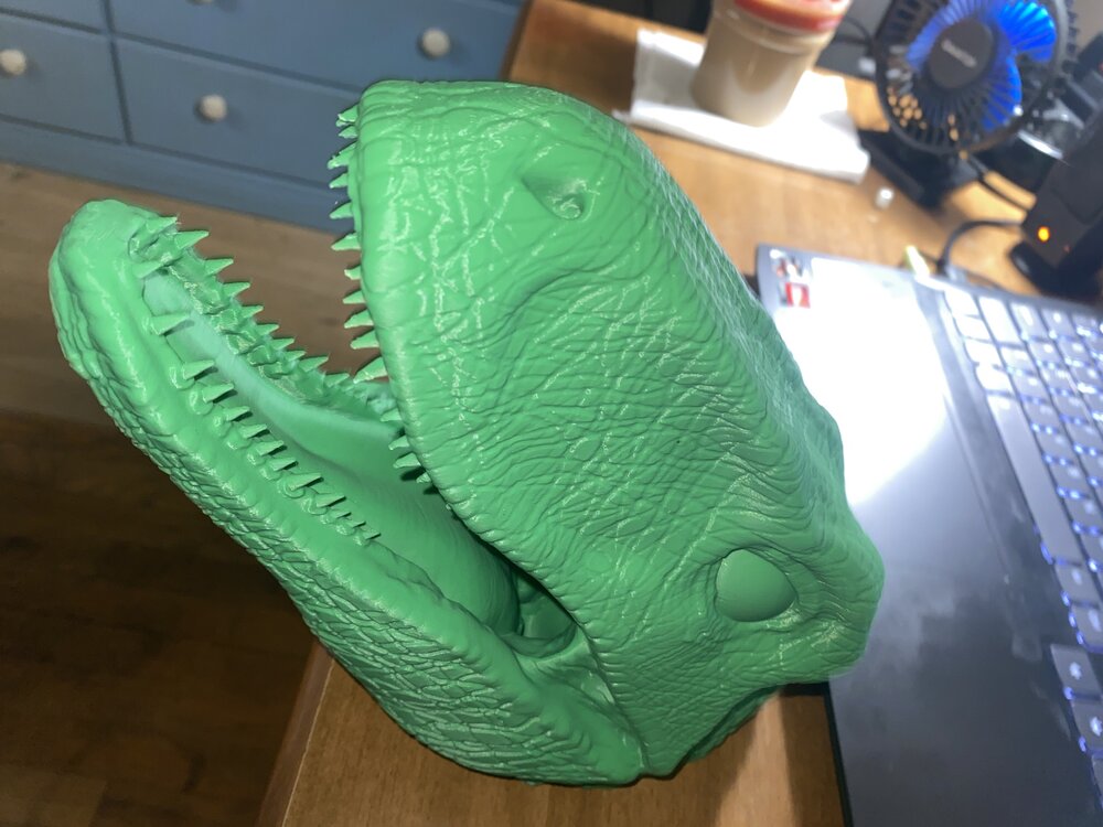 T Rex 2.jpg