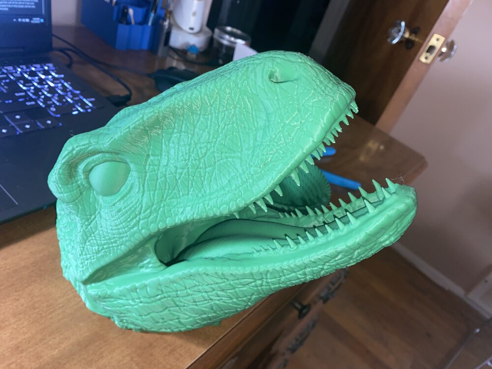 T Rex 3.jpg