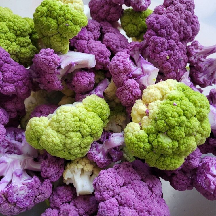 cauliflowers 1.jpg