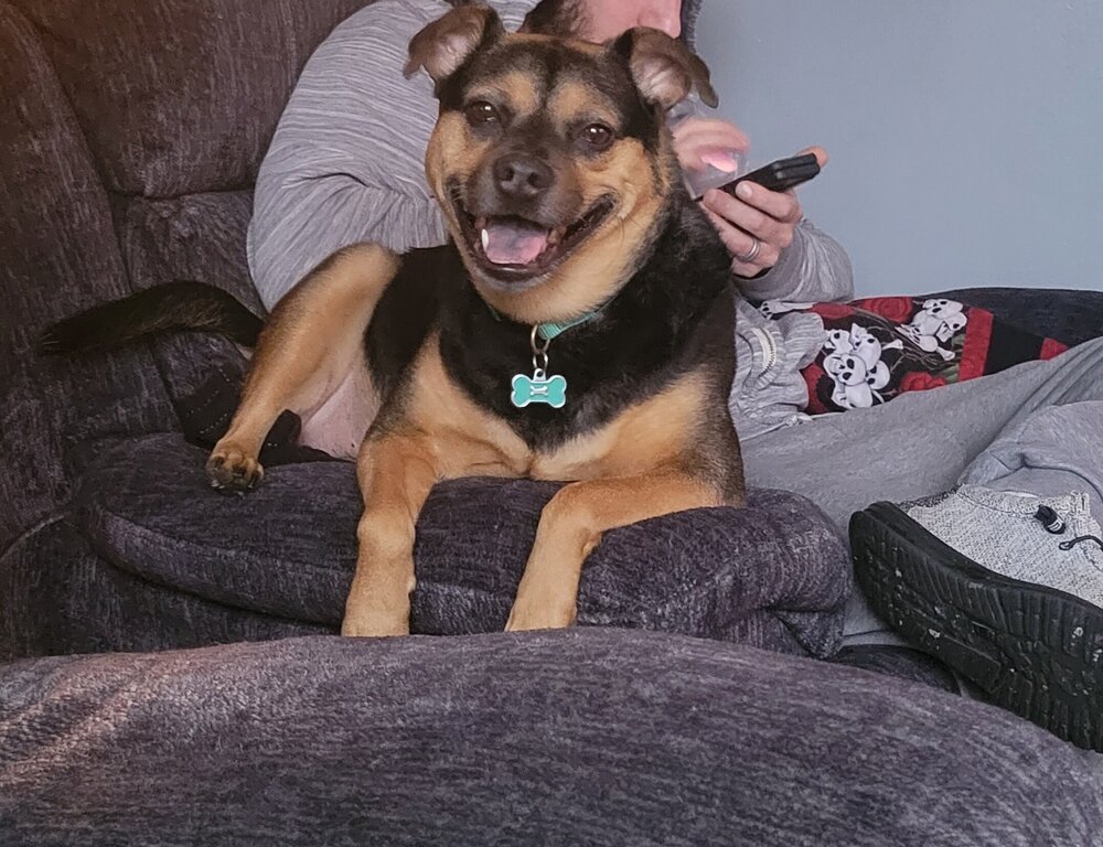 20231223_160042.jpg