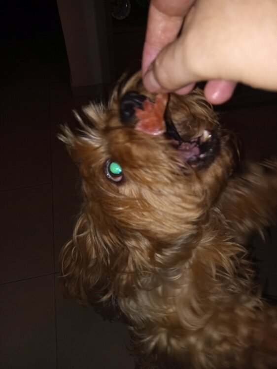 image.thumb.jpeg.18614d2e56f88e8da3b4d008726a7117.jpeg