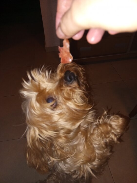 image.thumb.jpeg.d5b1bcf2303d4383da33e9e5bd9ede92.jpeg
