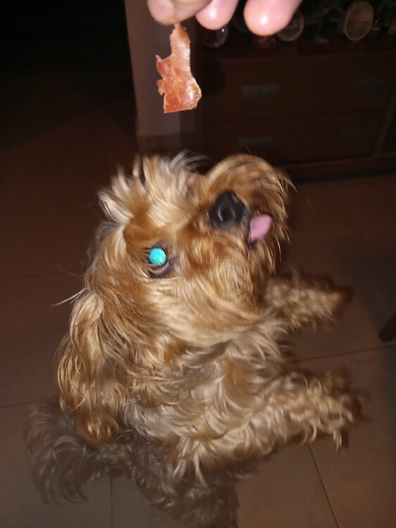 image.thumb.jpeg.f2011f49f244fbed9d9767227c9dbbeb.jpeg