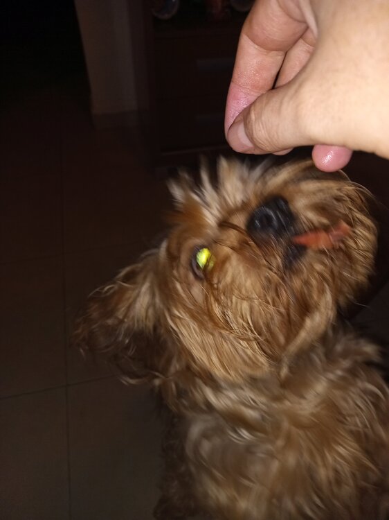 image.thumb.jpeg.f65b52492b5b466a1d3a9ce618722c19.jpeg
