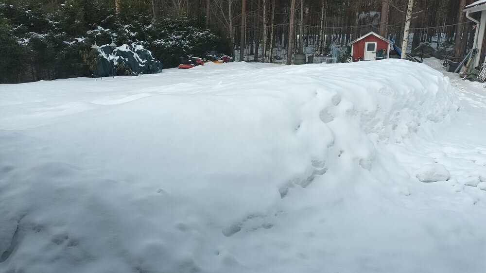 20240325_135614.jpg