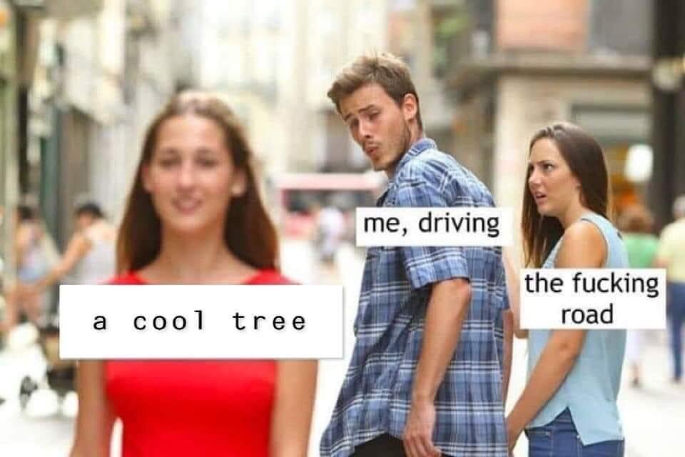 DF7ABE93-5A0E-4CED-8871-EBB644DE2536.jpeg.baff177f7839137a259a0799504c47d2.jpeg