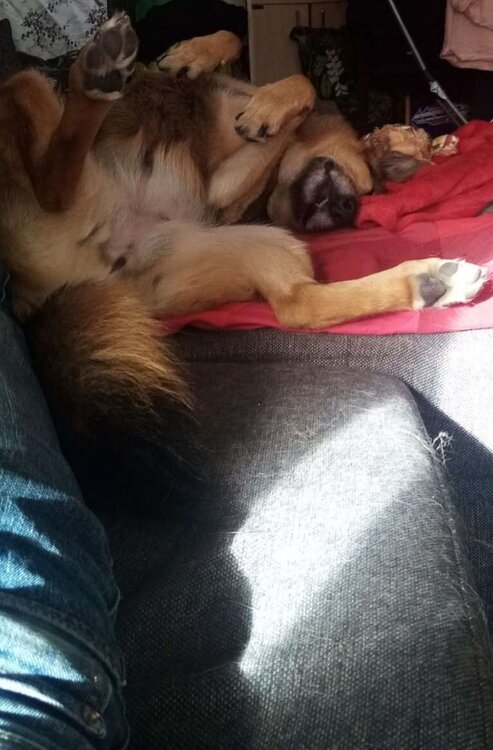 frida2.jpg