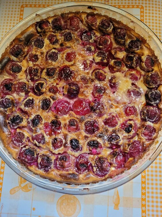 Clafoutis 2.jpg