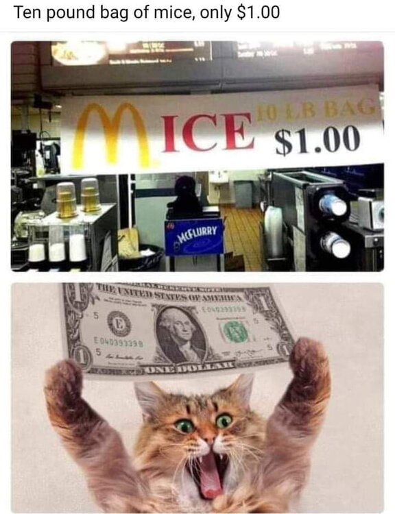 IMG_3222.jpeg