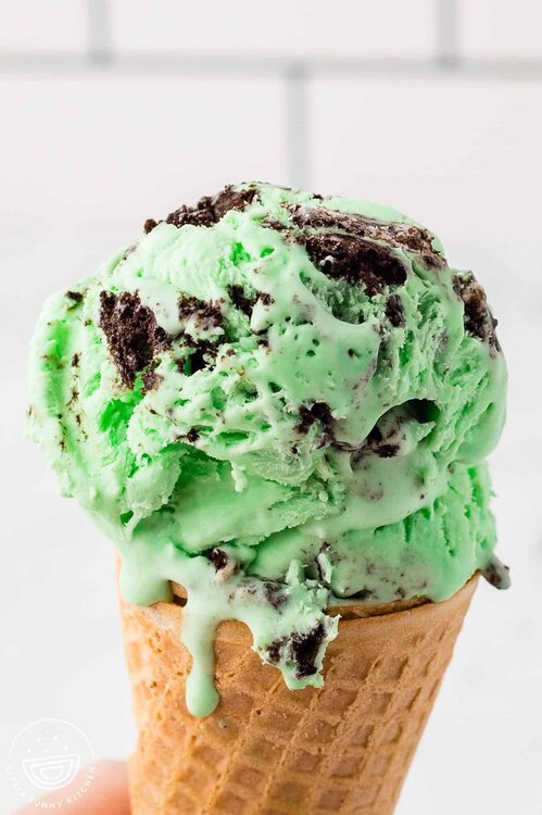 Mint-Oreo-Ice-Cream-1.thumb.jpg.5aabea50a98a4bf4f2bd236f6dc5a023.jpg