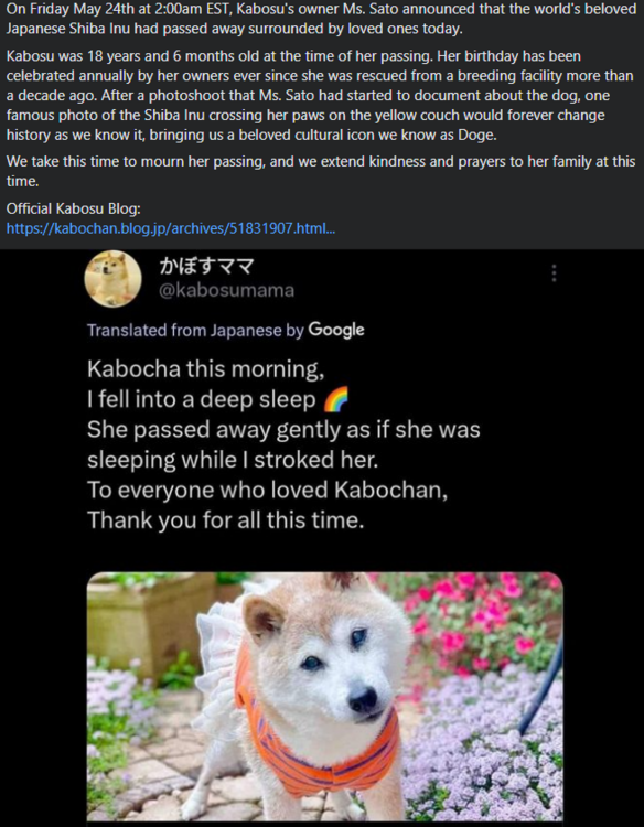 image.thumb.png.0343078a5991d7e7490bb1a49f765753.png