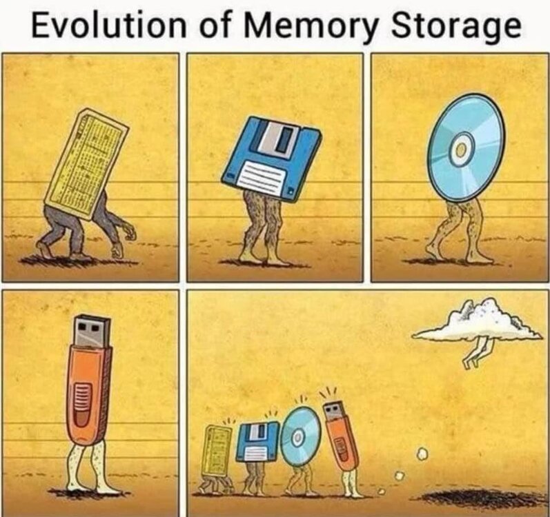 Evolutionofstorage.thumb.jpg.2a2caed7189f7d370f3e7b74e84b0abc.jpg