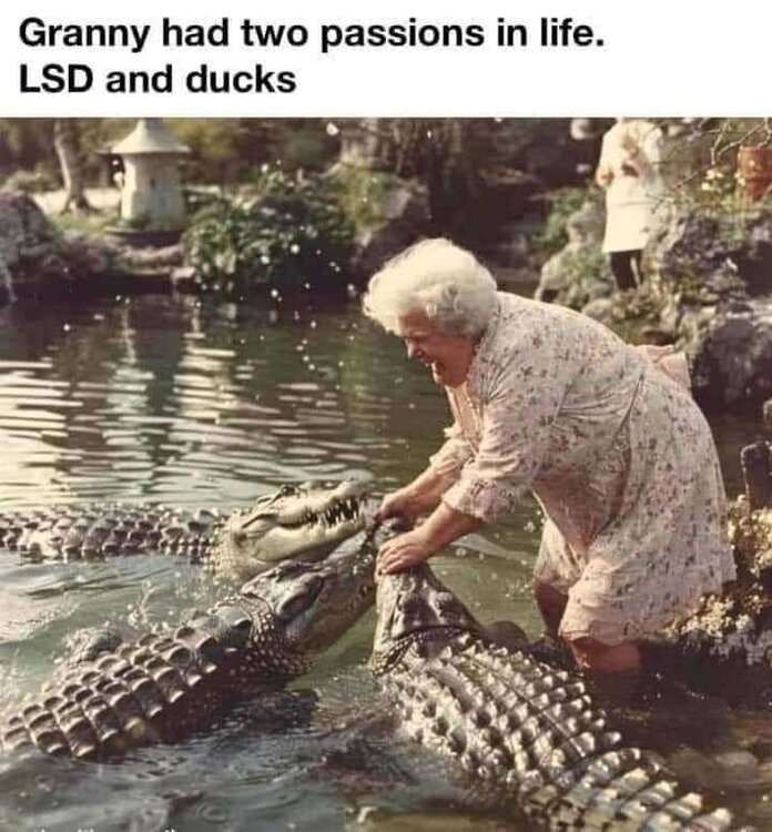 FB_IMG_1715081339888.jpg