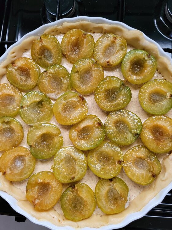 Plum tart 1.jpg