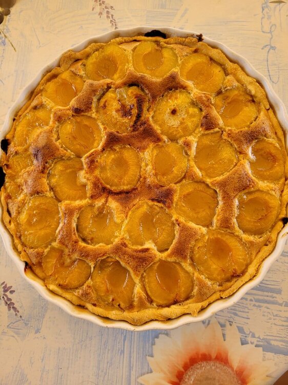 Plum tart 2.jpg