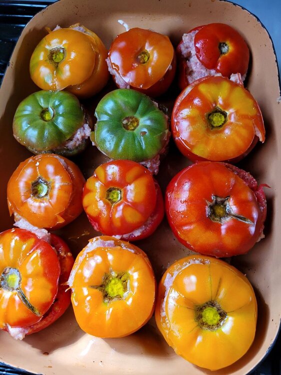 01.jpg