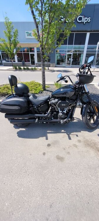 Harley.thumb.jpg.2dd415bf8dff1e38f2d3c85ddc4a948b.jpg