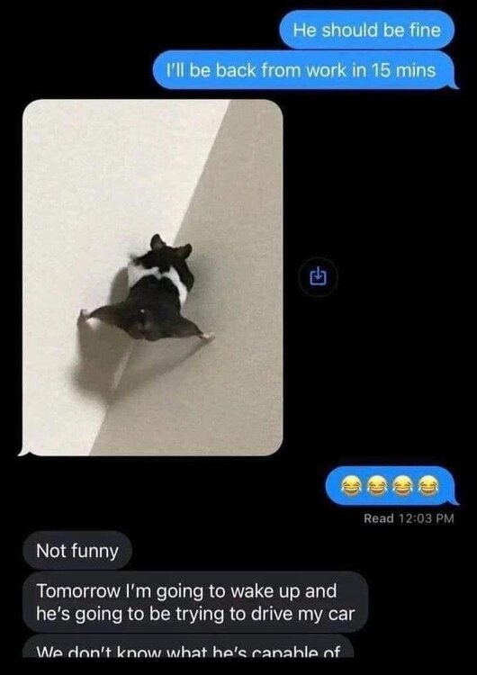 IMG_3441.jpeg