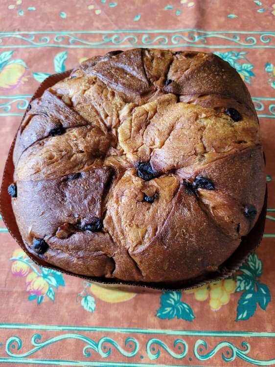 Panettone 2.jpg