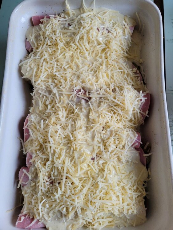 Endives 1.jpg