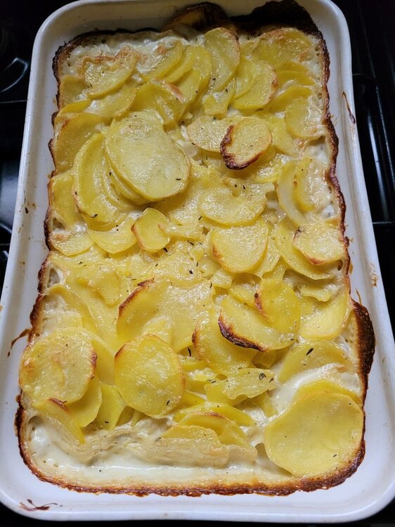 Gratin 2.jpg