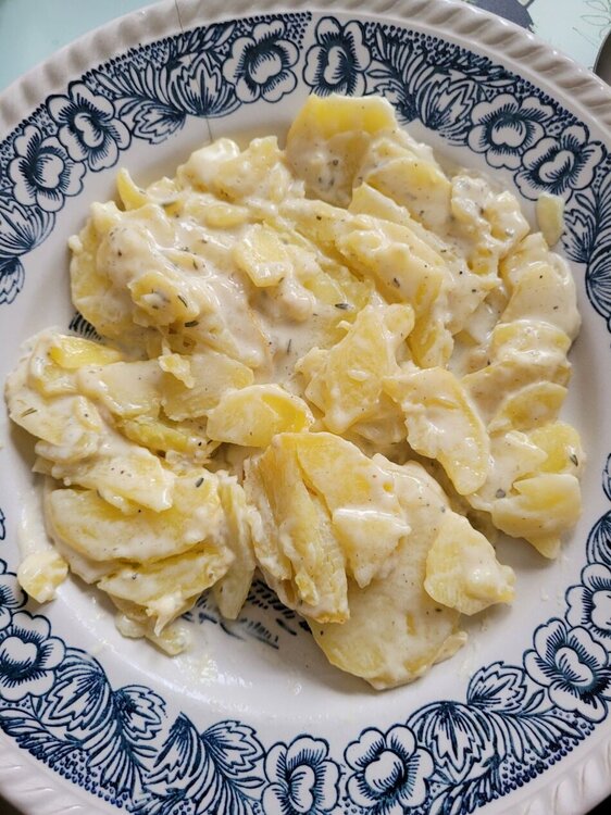 Gratin 3.jpg