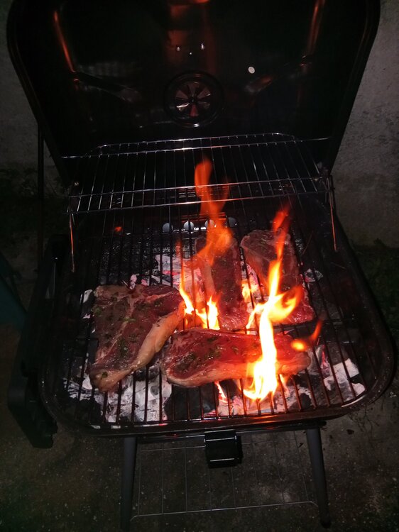 image.thumb.jpeg.c51712a5cf203ed42e468ee1aae09607.jpeg