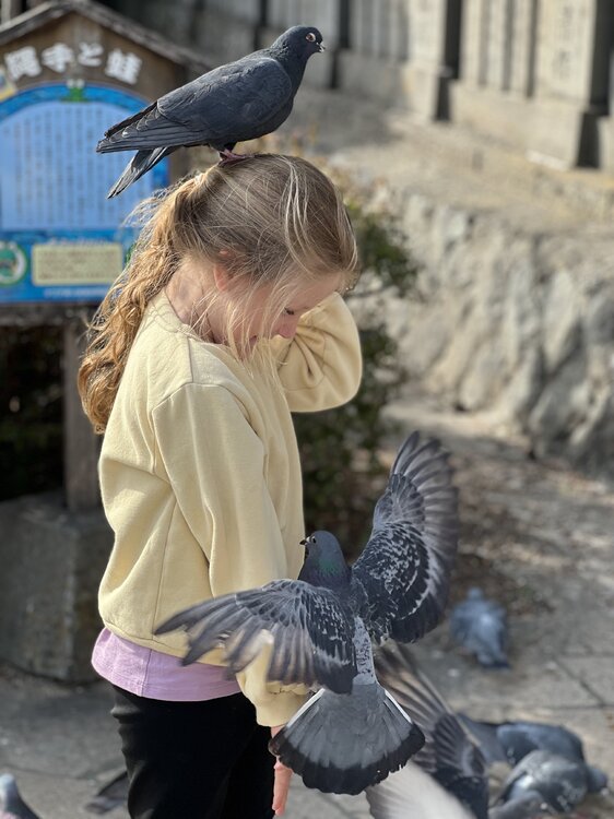 IMG_7120(1).thumb.jpeg.37712bf14bf49fcf7aad22a9f245b7f0.jpeg