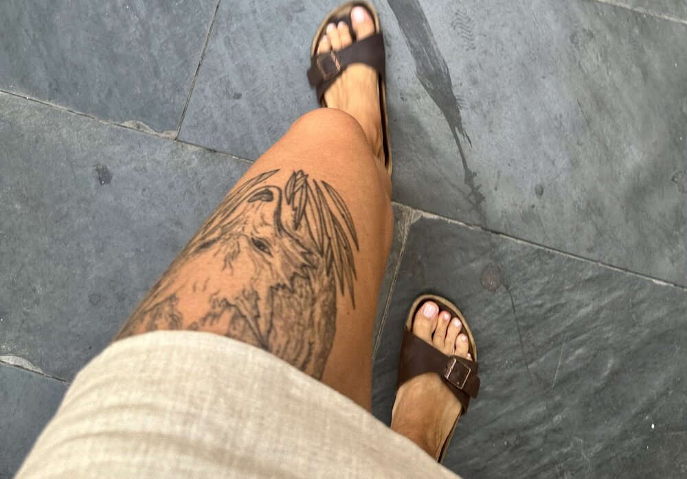 IMG_9492.jpeg