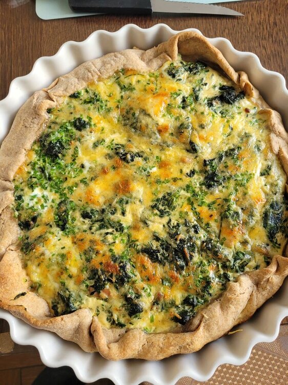 Quiche aux orties.jpg