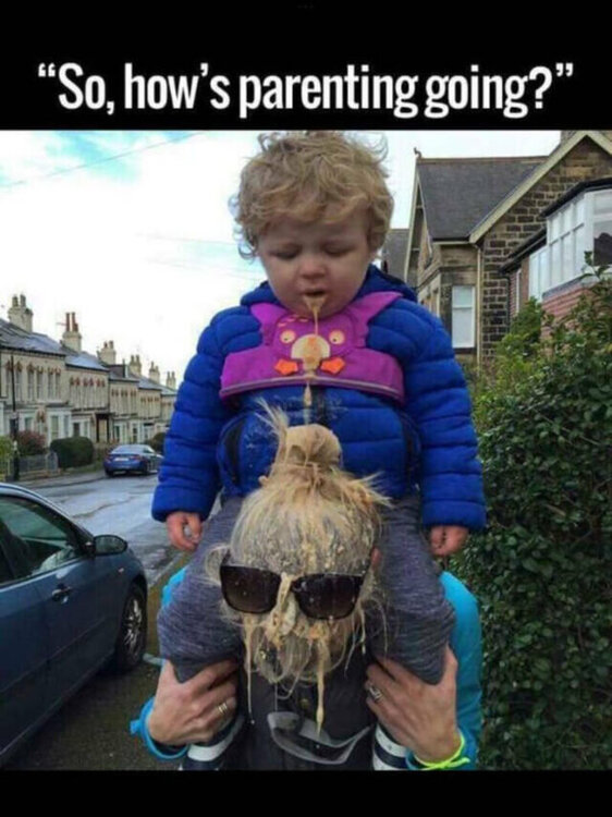 picdump_kw15_2025-077.thumb.jpg.d9f2eafd506f6b6336491eb69e0143c3.jpg