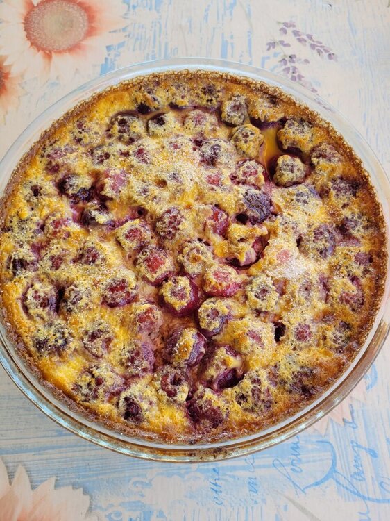 Clafoutis.jpg