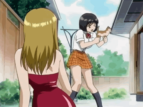 image.gif.1745c093f8beafb833b319e3fab8a0e4.gif